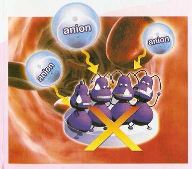 Anions Kill Bacterial
